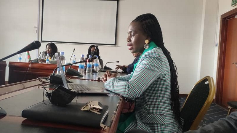 MISA Malawi appears before Parliament on broadcasting licences